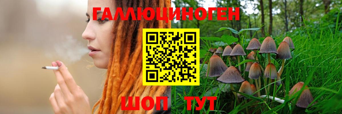 Галлюциногенные грибы MAGIC MUSHROOMS  Вход с VPN  Галлюциногенные грибы мухоморы  Кисловодск 